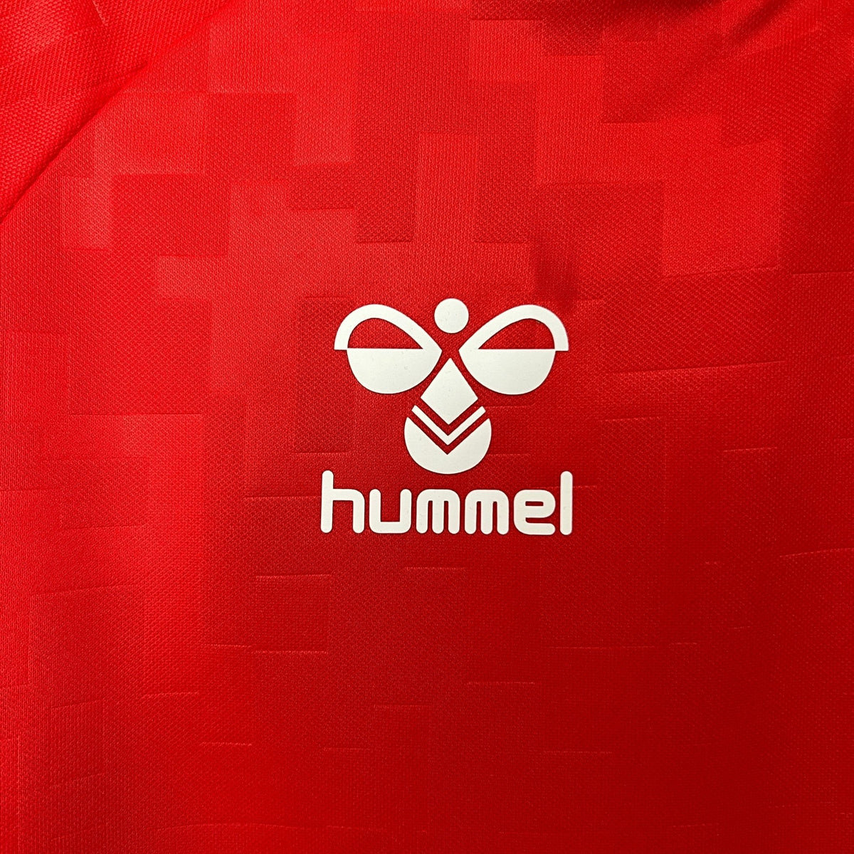 DENMARK 2024 HOME JERSEY| Footballshirt.online - Footballshirt.online